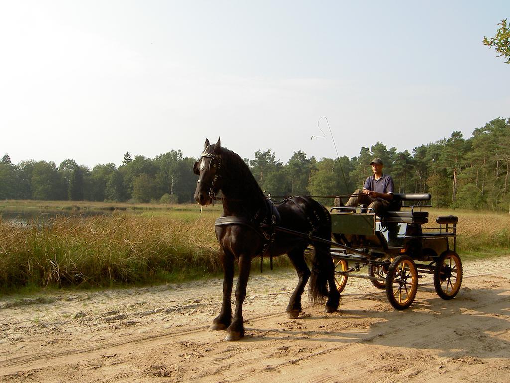 Hoeve Den Anholt Ruinen Exterior foto