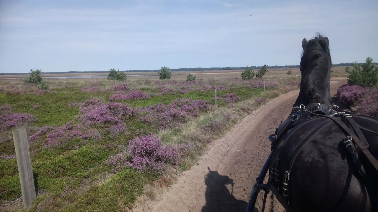 Hoeve Den Anholt Ruinen Exterior foto