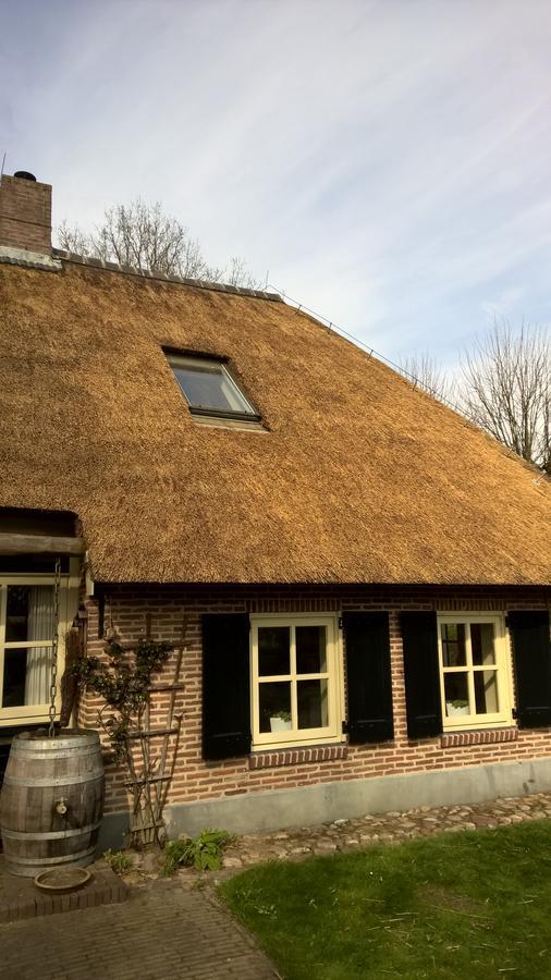 Hoeve Den Anholt Ruinen Exterior foto