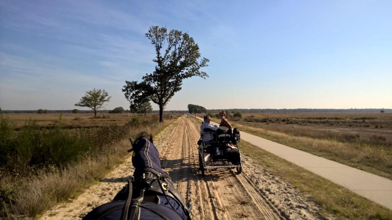 Hoeve Den Anholt Ruinen Exterior foto