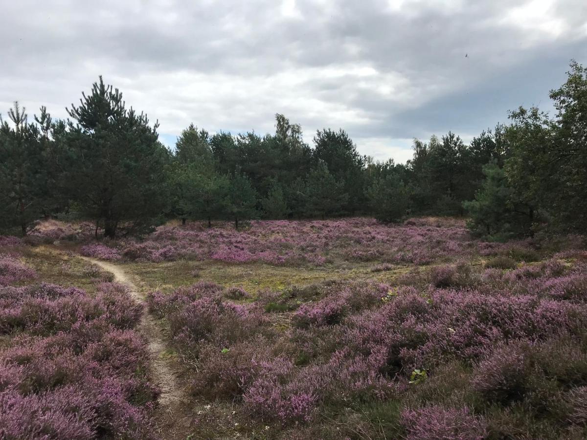 Hoeve Den Anholt Ruinen Exterior foto