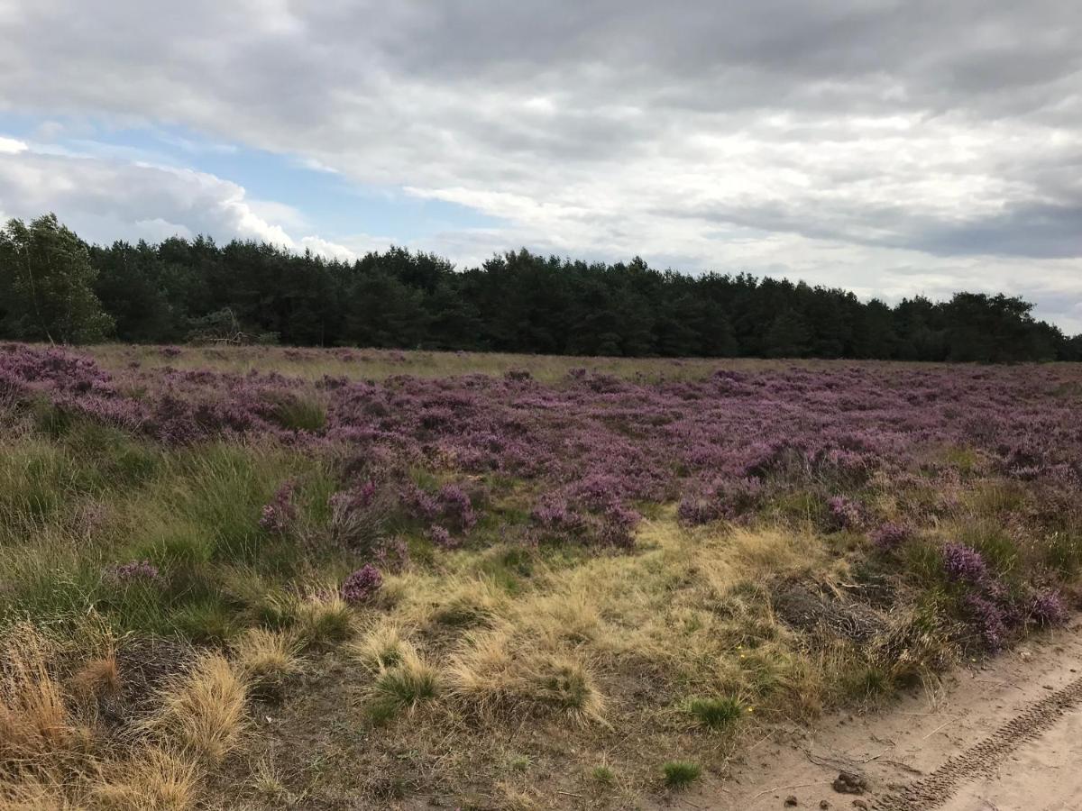 Hoeve Den Anholt Ruinen Exterior foto