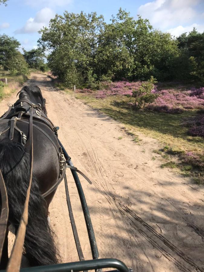 Hoeve Den Anholt Ruinen Exterior foto
