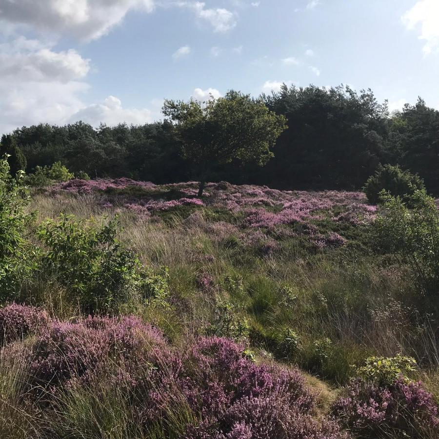 Hoeve Den Anholt Ruinen Exterior foto