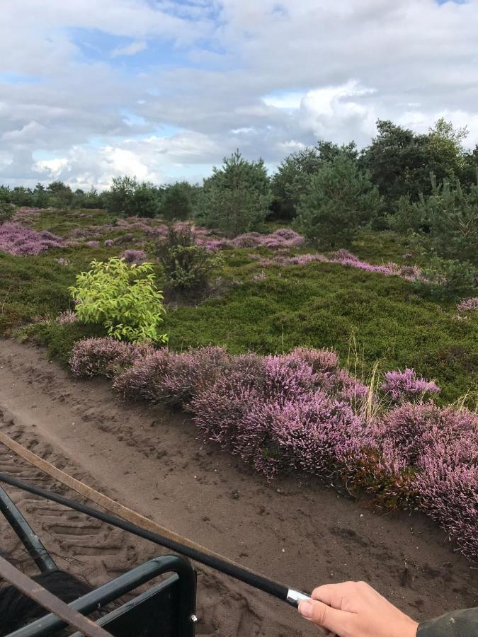 Hoeve Den Anholt Ruinen Exterior foto
