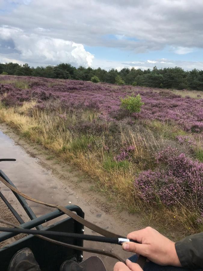 Hoeve Den Anholt Ruinen Exterior foto